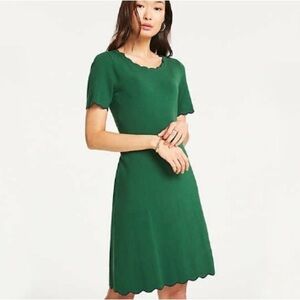Ann Taylor green sweater shift dress